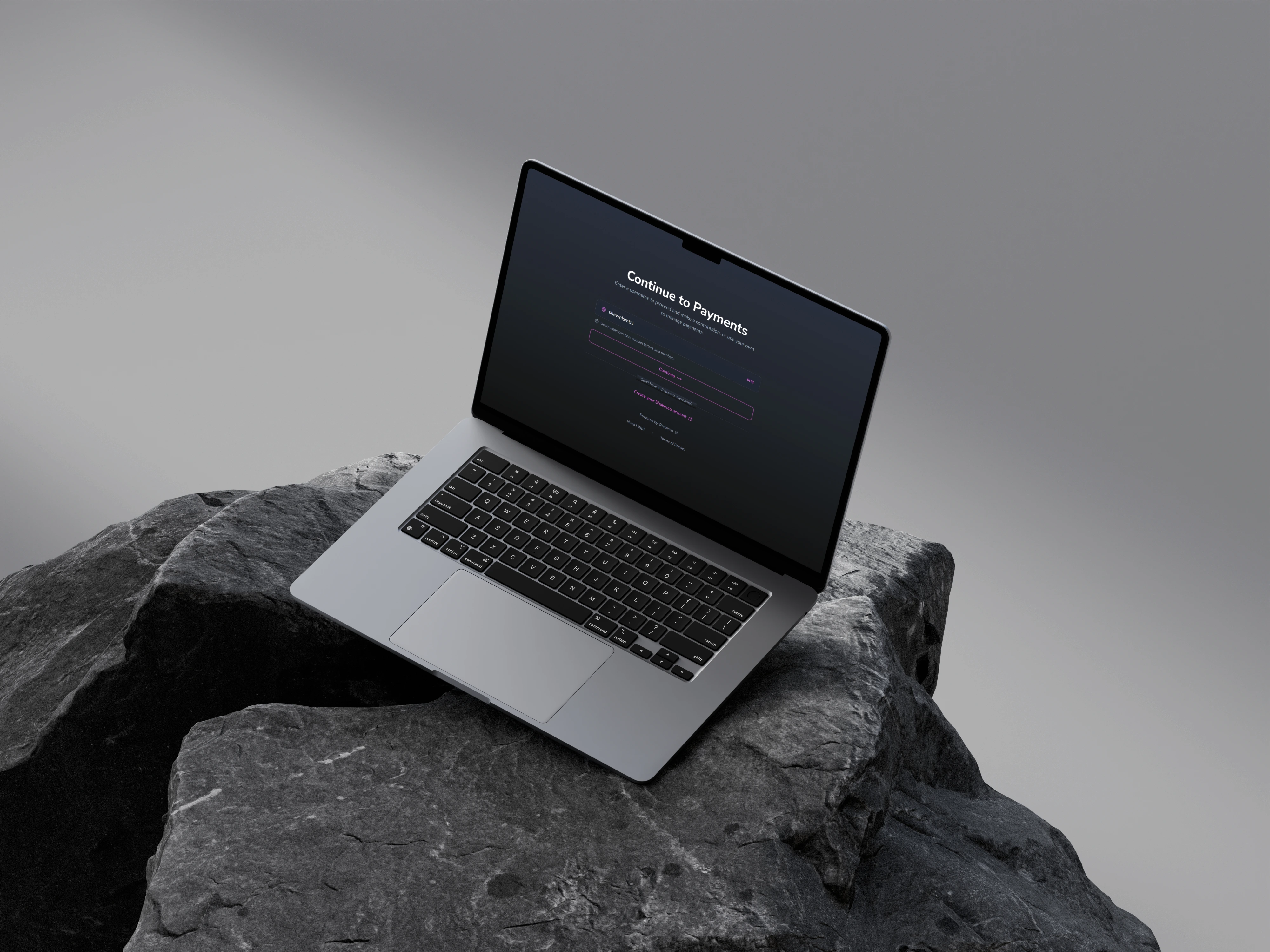 Continue to Payments interface on laptop
